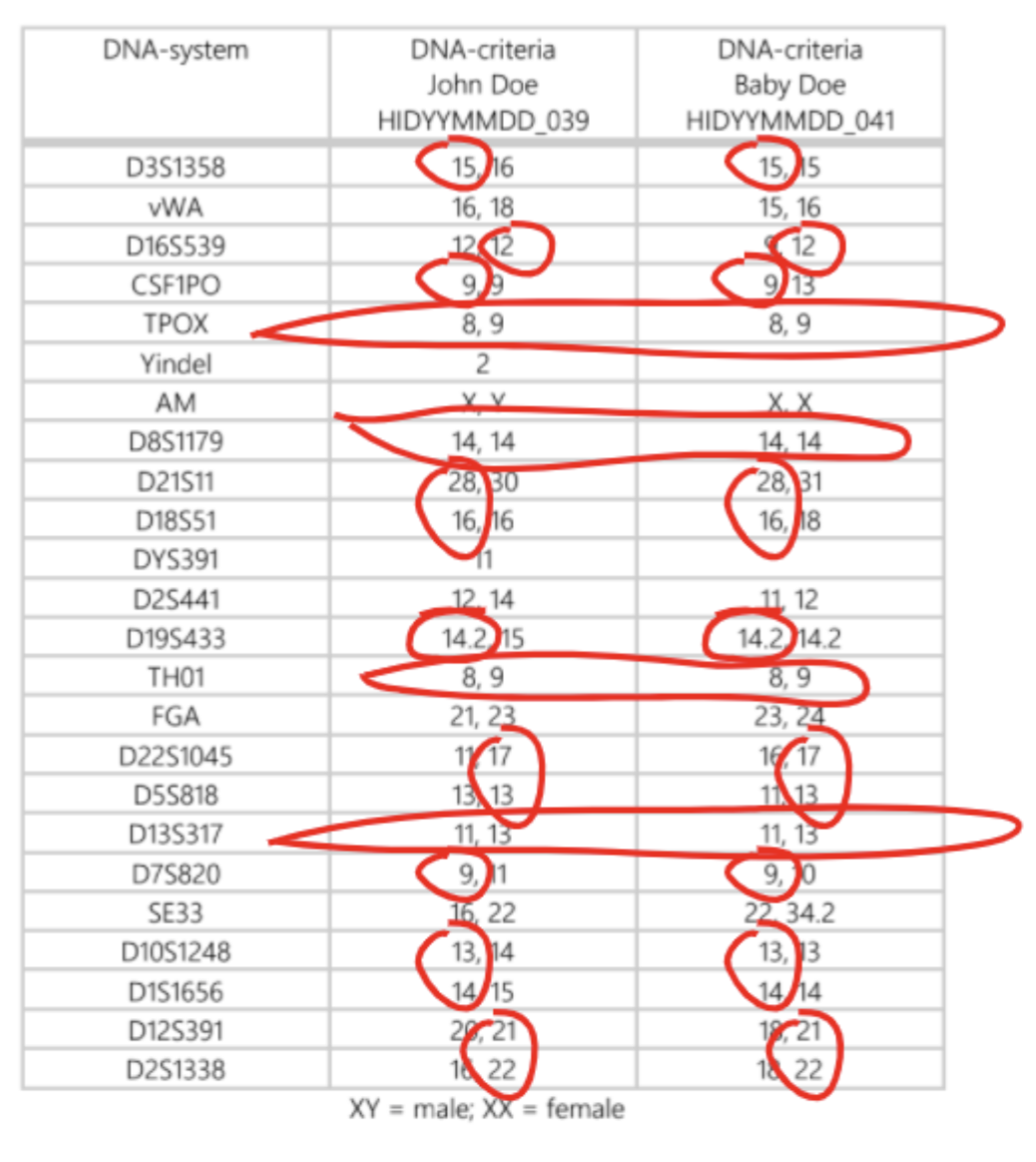 fake-paternity-test-results-template